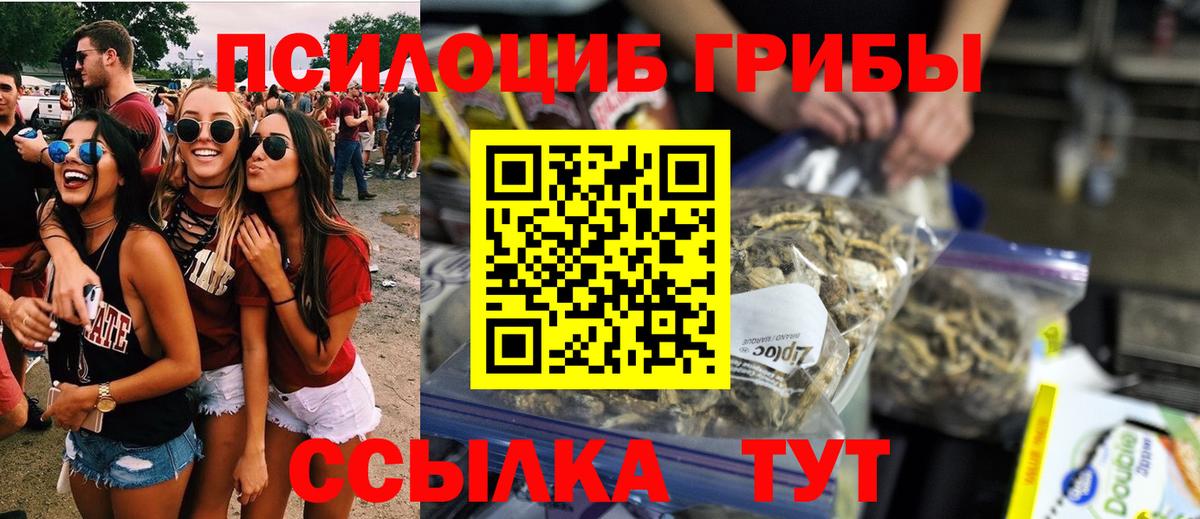 Санкт-Петербург  Псилоцибиновые грибы мицелий  Вход с VPN 